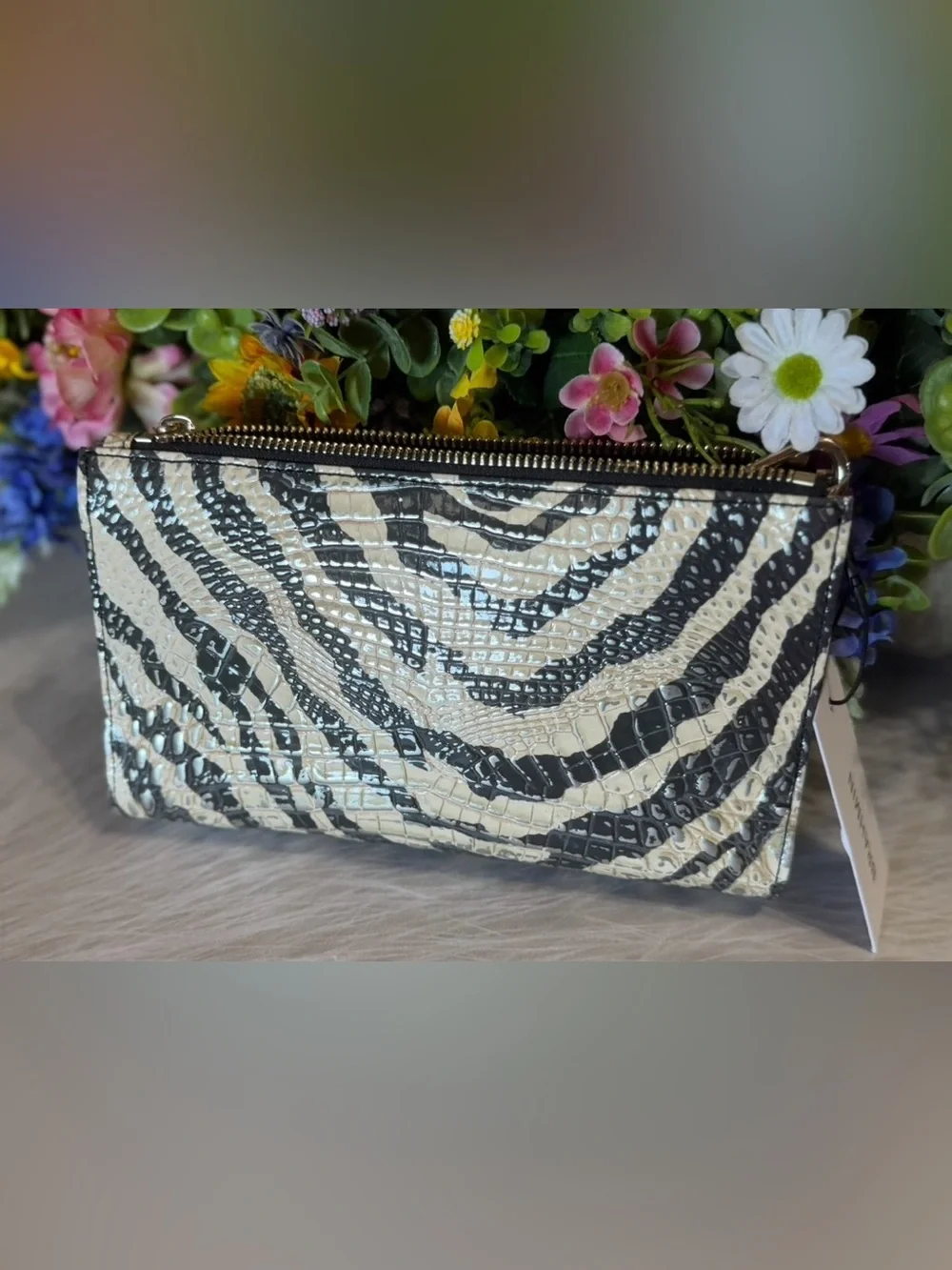 PERFECT EYE HTF BRAHMIN DAISY DASHING ZEBRA MELBOURNE same as EVERLASTING ENCOUR